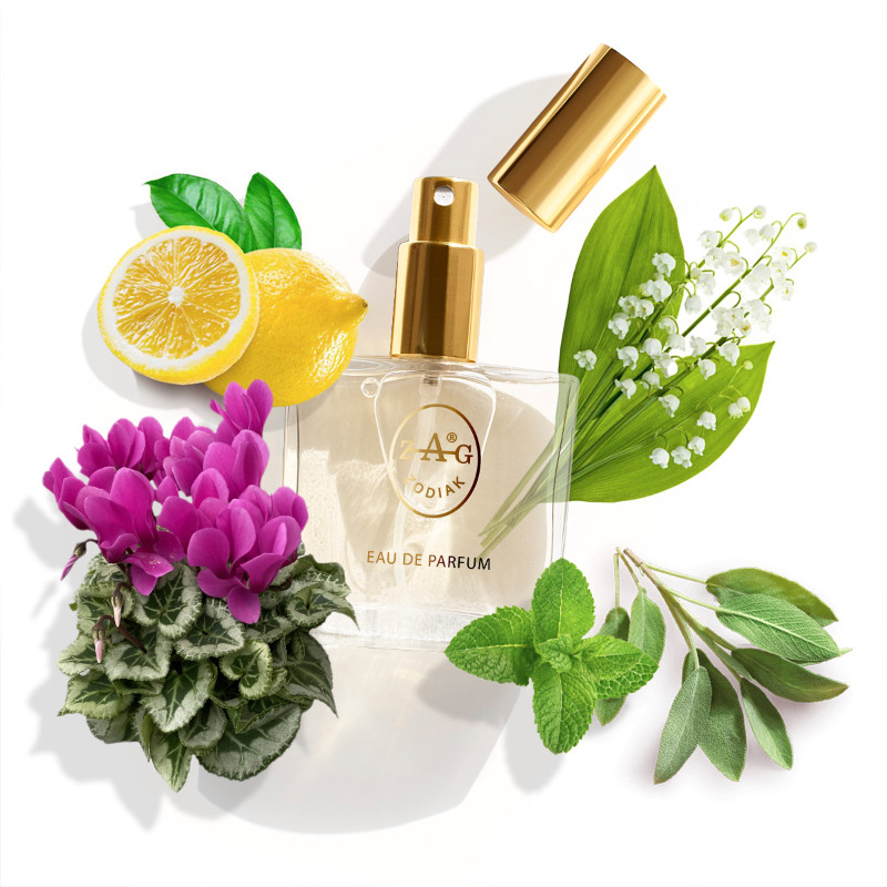 453 HF AQUA ALLEGORIA HERBA FRESCA