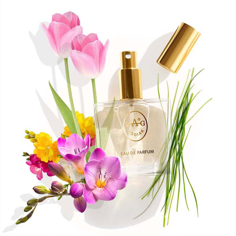 386 TL inspried by LA TULIPE BYREDO
